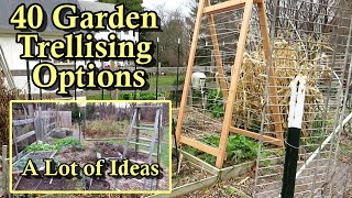 40 Garden Trellising Examples for Growing Vegetables Vertically All DIY Budget Friendly Options [upl. by Aehsal]