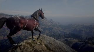 Male Warped Brindled ArabianRed Dead Redemption 2 [upl. by Gromme]