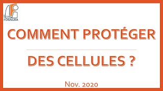 Tutoriel Excel comment protéger des cellules [upl. by Suirtemed]