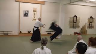 David Halprin Shihan  katatetori gyakuhanmi kiriotoshi [upl. by Aliab]