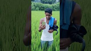 comedy video comedy funnymemes funny funny comedymemescomedy funny areitanakoipagalnahosake [upl. by Etan]