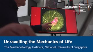 Unravelling the Mechanics of Life The Mechanobiology Institute National University Of Singapore [upl. by Yecart]