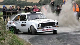 Wexford Stages Rally 2024 Crash Sideways amp Action [upl. by Bertrando779]