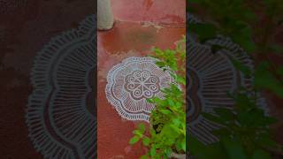 This can heal me 🌿🐚 rangoli indianartkolam indianart muggulu easyrangoli simplerangoli [upl. by Errecart]