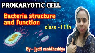 PROKARYOTIC CELL  BACTERIA STRUCTURE AND FUNCTION  CLASS 11th  AWAITED VIDEO BY  Jyoti [upl. by Kyrstin]