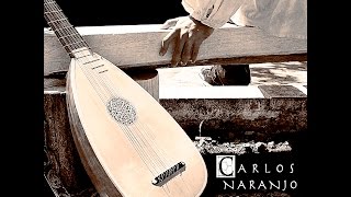 La GuerrePierre Attaignant edRenaissance Lute Carlos Naranjo [upl. by Crosley]