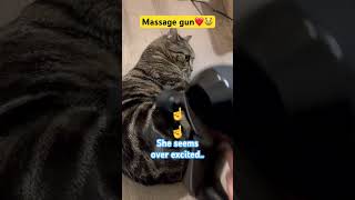 Massage gun cT catty [upl. by Aloiv]