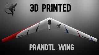 PRANDTl flying wing  3D printed  Flight video [upl. by Aisak]