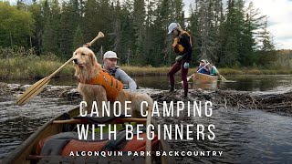 Canoe Camping with Beginners Algonquin Park Backcountry [upl. by Ahsineg109]