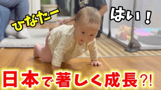 【生後10ヶ月】日本に来てからの娘の成長に外国人家族も驚き‥母乳以外、全く食べなかった食事もパクパク食べる！ [upl. by Kawai]