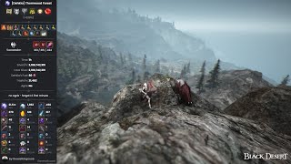 BDO  Dehkia Thornwood Forest Succession Guardian 214khr lvl 2 no Agris [upl. by Ylevol]