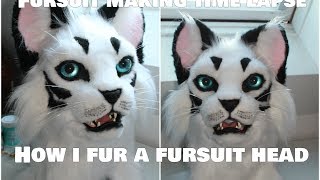 Lets build1 How i fur a fursuit head time lapse [upl. by Moss]