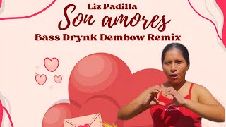 Lis Padilla  Son Amores REMIX DEMBOW Tik Tok Version Visualizer [upl. by Leonidas498]