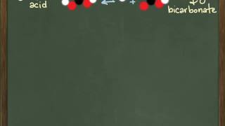 Carbonic Acid  Bicarbonate Buffer System [upl. by Naquin]