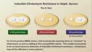 Antibiotic Resistance Antibiotics  Lecture 9 [upl. by Airam10]