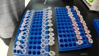 식물대사체학 Water soluble metabolites analysis using GCMS [upl. by Anatak]