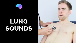 Lung sounds respiratory auscultation sounds  UKMLA  CPSA [upl. by Shantha]