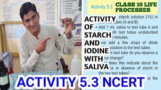 NCERT ACTIVITY 53  Ptyalin  Strach  Iodine  WHY STARCH IODINE BLUISH BLACK COLOUR [upl. by Dorella]