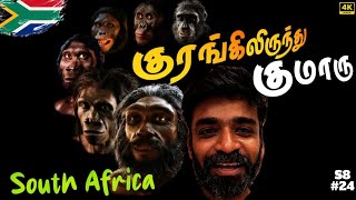 🦍 உலகின் முதல் மனிதன் யார் 🏃‍♂️ 🇿🇦South Africa ep4 [upl. by Alyosha591]