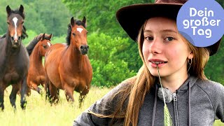 Pferde Rinder Gaucho  Linn beim Westernreiten  Dein großer Tag  SWR Plus [upl. by Iy]