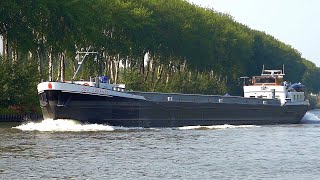 ⚓️DEO JUVANTE vrachtschip uit Hardinxveld NL 02313982 gespot 18 09 2024 [upl. by Trant]