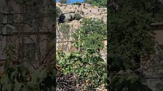 Kapadokya Cappadocia Gizemli Evler Kaysı bol [upl. by Laeahcim]