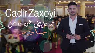 جادر زاخوي quot تە دلێ خوە دا من quot  Cadir Zaxoyi Ta Dlé Xoa Da Mn  Official Audio [upl. by Anivram]