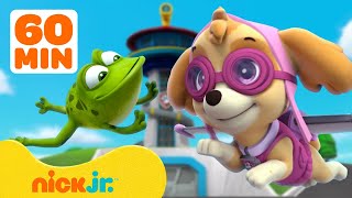 PAW Patrol Lookout Tower Animal Rescues w Skye Chase amp Rocky  1 Hour Compilation  Nick Jr [upl. by Nivak]