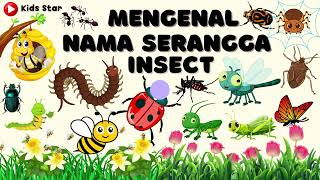 BELAJAR NAMA SERANGGA DALAM BAHASA INGGRIS  NAMES OF INSECT LEARN ANIMALS NAMA BINATANG NAMA HEWAN [upl. by Pentha392]