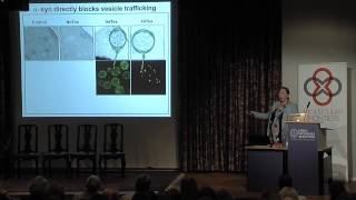 Susan Lindquist From yeast cells to patient neurons [upl. by Aciras]