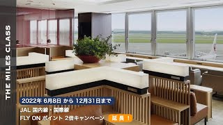 JAL FLYONポイント2倍キャンペーン2022 解説 [upl. by Greyso]