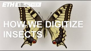 Digitizing the Entomological Collection  Scientific Heritage for Future Research [upl. by Limhaj]