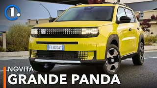 Fiat Grande Panda la PANDA XL 🐼 da 4 metri ibrida o elettrica [upl. by Buffy]