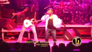 Beres Hammond I Feel Good Live WestSide Reggae Festival at Ives Concert Park in Danbury CT [upl. by Jonathon]