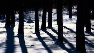 Snowbound by Genesis in 1080p HD [upl. by Brietta611]