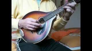 Celtic Reel  Otwin Mandola [upl. by Nnomae]