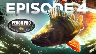 PERCH PRO 7  Episode 4 [upl. by Culliton]