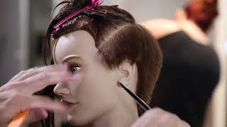 1Cutting Techniques  Asymmetrical Pixie Haircut Tutorial [upl. by Schlicher]