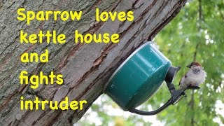 How to make ● A SIMPLE BIRD HOUSE [upl. by Ainerol]