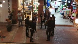 Mariachis  Quinta Avenida  Playa del Carmen [upl. by Llien]