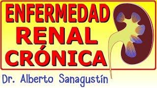 ENFERMEDAD RENAL CRÓNICA ✅ fisiopatología clínica diagnòstico y tratamiento [upl. by Lucine]