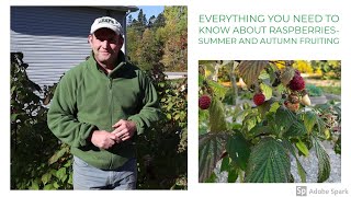 Everything You Need to Know About Raspberries  Summer and Autumn Fruiting [upl. by Alded192]