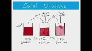 AS Biology  How to calculate serial and simple dilutions [upl. by Clarkson880]