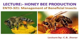 ENTO 321 Lecture 7 Diseases of Honey Bee  मधुमक्खी के रोग [upl. by Labotsirc125]