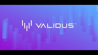 Validus English Presentation [upl. by Nomrac284]