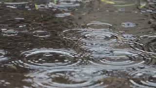 🌧 4K Regengeräusche auf einer Pfütze  3 Stunden beruhigende Klänge für Tiefschlaf und Entspannung 🌙 [upl. by Campney]