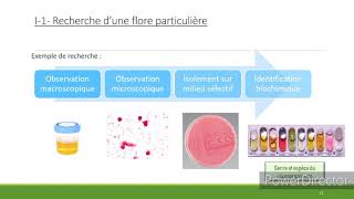 Cours Biotechnologies Microbiologie Partie 1  Analyse microbiologique d’un produit polymicrobien [upl. by Noirred]