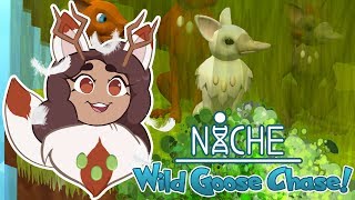 The Great Goose Chase Begins 🦆 Niche Wild Goose Chase • 1 [upl. by Ariuqahs]