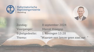 “Waarom een leeuw geen ezel eet ”  1 Koningen 1338  Marcel Vroegop [upl. by Retloc]