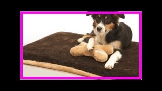 Hundebetten Test Kuschelmatte Visko deLuxe [upl. by Ellerrad872]